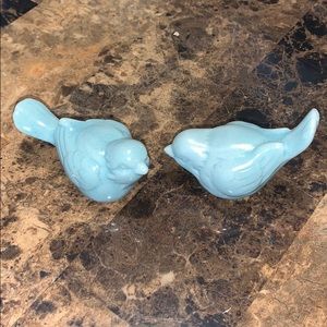 Pair of Blue Birds